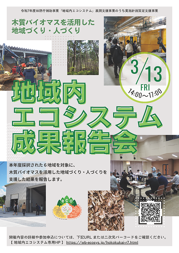 成果報告会チラシ