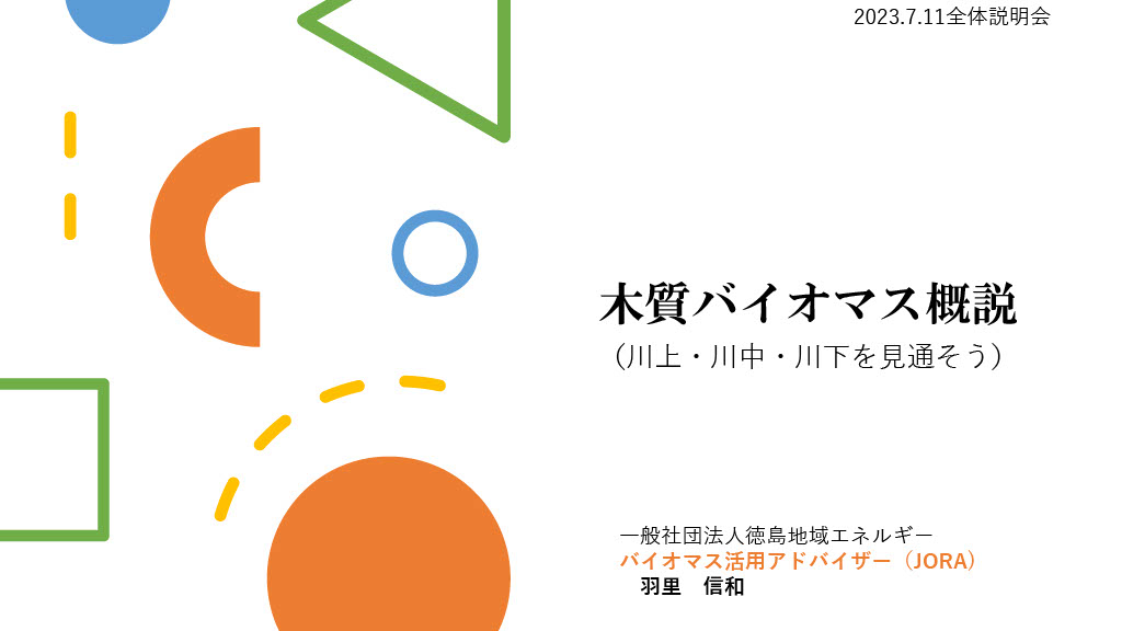 木質バイオマス概説